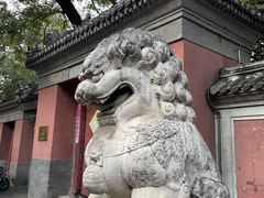 -羲和雅苑•北京烤鸭(国贸商城店)
