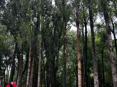 -西宁市人民公园(城西区)