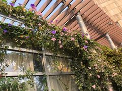 -顺德演艺中心大剧院