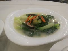 -新苑酒家(嘉宾路店)