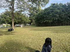 -东莞植物园
