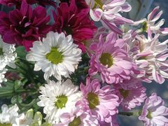 -爱尚幸福鲜花(上地实体店)