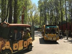 -泉州海丝野生动物世界