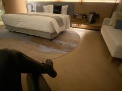 -上海佘山世茂艾美酒店
