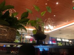 -风渡嘉荷西餐厅 Windy City(西三旗金隅店)