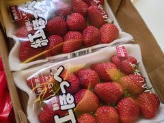 -油麻地果栏