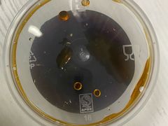 -嘉和一品粥(魏公村店)