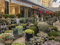 -山菌美食苑(振兴路店)