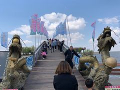 -卧龙湖