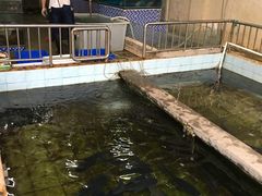 -水磨农庄