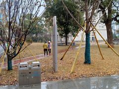 -长沙市青少年宫
