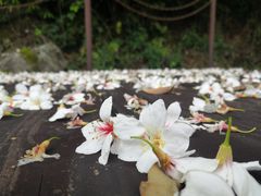 -安溪清水岩