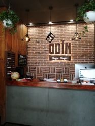 -ODIN 奥丁形象设计 