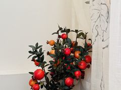 -左悦·艾灸调理·推拿按摩·精油SPA(卓悦汇店)