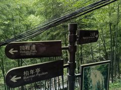 -藏龙百瀑风景区