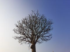 -西堤公园