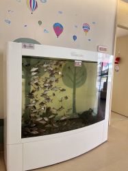 -北京和美妇儿医院