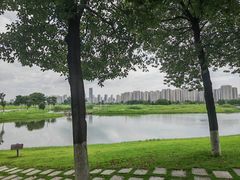 -洋湖国家湿地公园