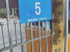 -金花茶公园