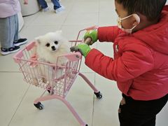 -怪兽屋·羊驼·猫咖·狗咖(俊华广场店)