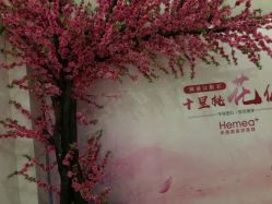 -禾美嘉医疗美容