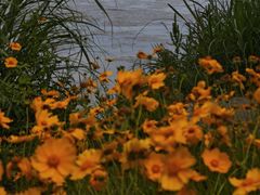 -东钱湖旅游度假区