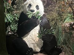 -湖南省地质博物馆