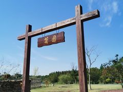 -东平国家森林公园