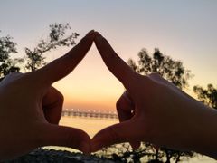 -宝安西湾红树林湿地公园