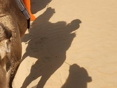 -白老大羊杂碎稍麦