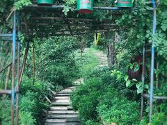 -铁山坪森林公园