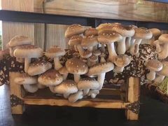 -大喜牛鲜牛肉火锅(营迹路店)