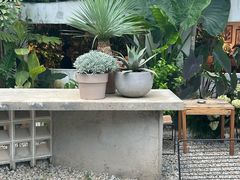 -自由生长植物工作室(深港花卉中心店)