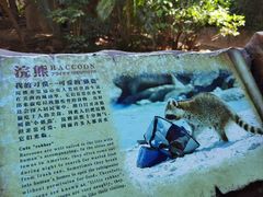 -长鹿旅游休博园
