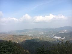 -东泉假日温泉酒店-悦荷轩餐厅