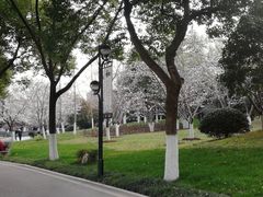 -堤角公园