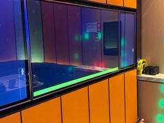 -星聚会KTV(苏州尹山湖歌林公园店)