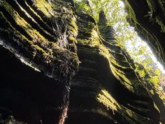 -梭布垭石林景区