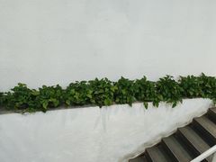 -老黑板筋(顺义总店)