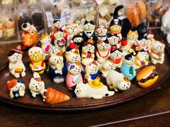 -猫咪博物馆(顶澳仔猫街店)