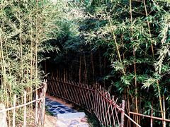 -竹子庵公园