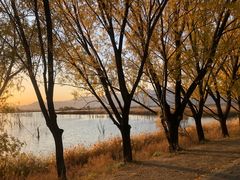 -野鸭湖国家湿地公园