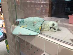 -FAELING PETS美天灵宠物(富力广场店)