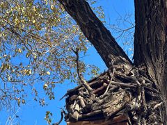 -北京西山国家森林公园