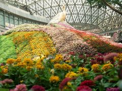 -花之城