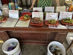 -马陆小张葡萄园农家乐