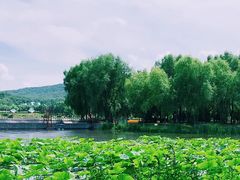 -哈尔滨北方森林动物园