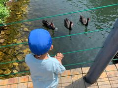 -长白岛森林公园