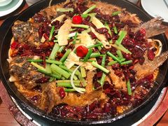 -老板恋上鱼(振华商厦店)