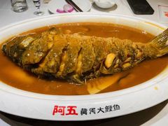-阿五黄河大鲤鱼(英协路店)